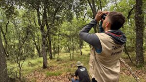 Un ingeniero comprobando el estado de los árboles de una parcela 8x8 en Gavet de la Conca, en el Pallars Jussà (Marta Lluvich, ACN)