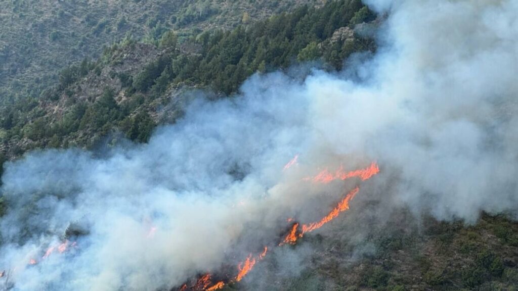 Vista aérea del incendio forestal de Alins (Bomberos de la Generalitat)