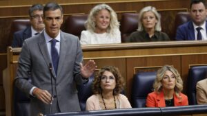 El president del Govern d'Espanya, Pedro Sánchez, al Congrés dels Diputats (ACN)