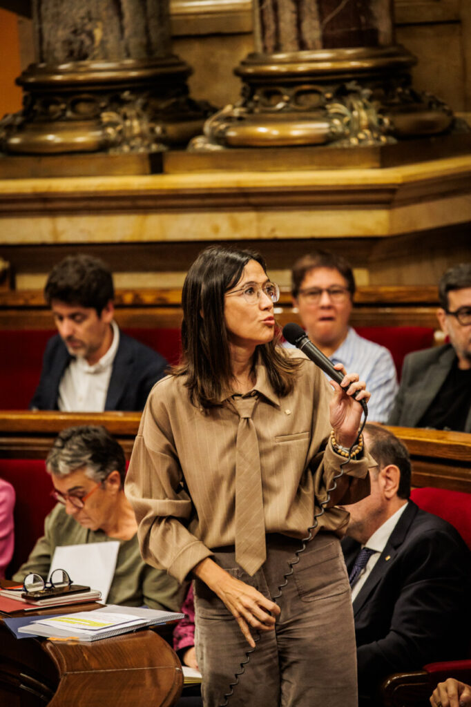 Núria Parlon parlant al Parlament sobre l'ús del gas pebre