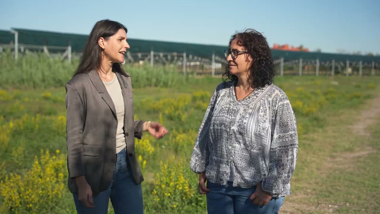 Dues dones parlant en un camp amb plaques solars al fons.