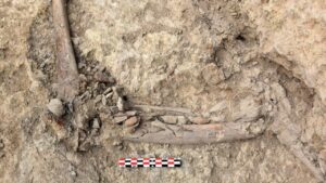 Restos óseos de soldados republicanos de la Guerra Civil localizados en la fosa de la Era de Cal Lico, en Alentorn (Departamento de Justicia de la Generalitat de Catalunya)