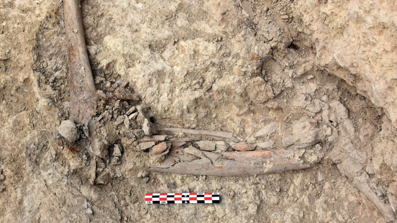 Restos óseos de soldados republicanos de la Guerra Civil localizados en la fosa de la Era de Cal Lico, en Alentorn (Departamento de Justicia de la Generalitat de Catalunya)