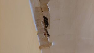 Grietas y filtraciones de agua en un edificio desalojado en Santa Coloma de Gramenet.