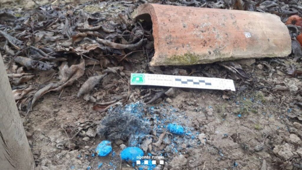Rodenticida detectat pels Agents Rurals en una finca d'arbres fruiters (Agents Rurals)