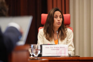 La consellera d'Educació, Esther Niubó, durant una comissió al Parlament (Maria Pratdesaba, ACN)