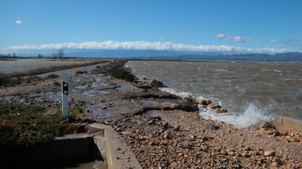 El temporal de viento ha provocado la rotura de la zona del Fangar, inundando campos donde se cultiva arroz (Ariadna Escoda, ACN)