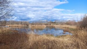 Una de les zones sobre les que s'actuarà (Departament de Territori, ACN)