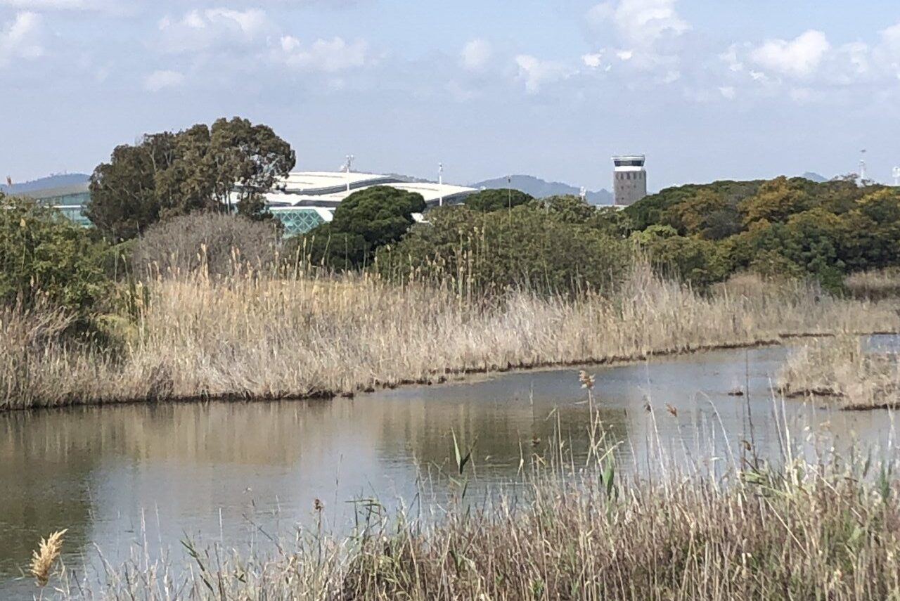 Aena té especial cura de l’ecosistema hídric que envolta les instal·lacions aeroportuàries.