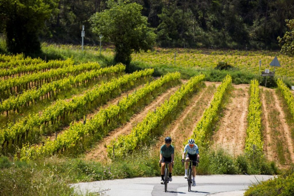 Dues persones en bicicleta passant per un camp de vinyes al Penedès