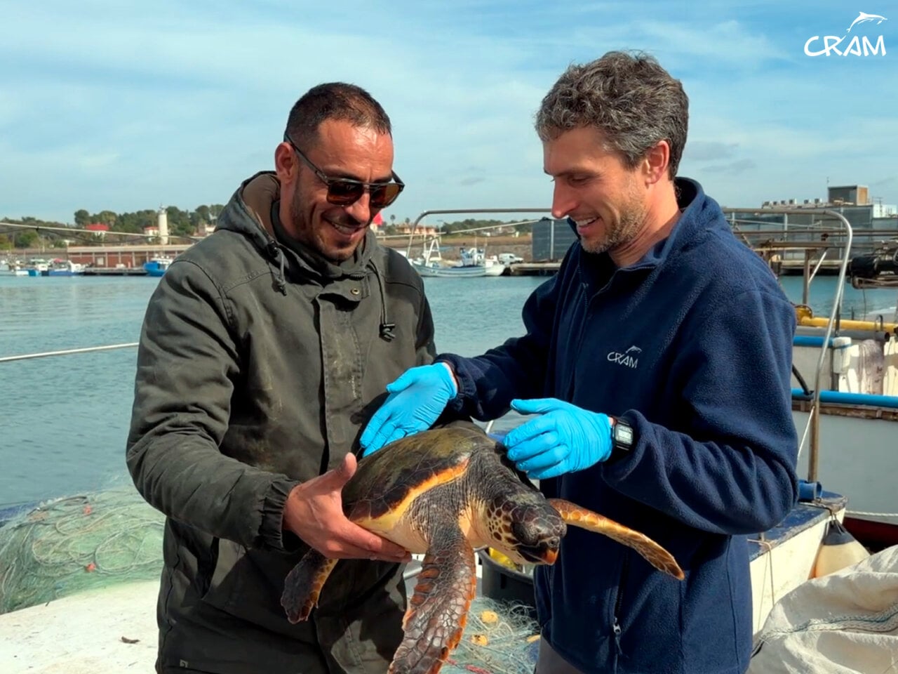 Fundació CRAM, tortuga rescatada