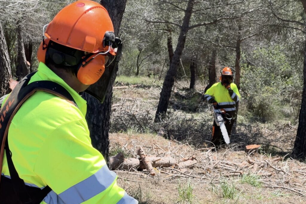 Desbrossament forestal a Collserola (Albert Segura - ACN)