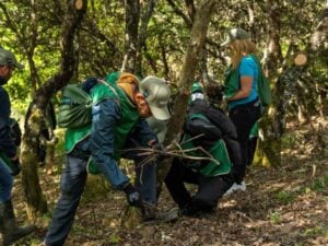 Voluntaris en un entorn forestal