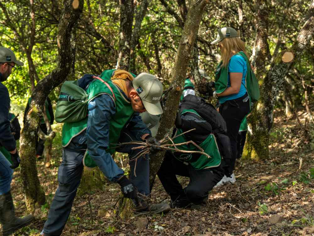 Voluntaris en un entorn forestal