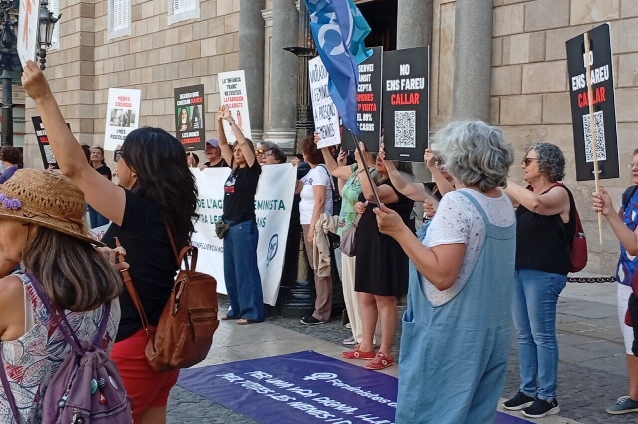 Manifestació feminista amb pancartes contra la llei trans (Feministes de Catalunya)