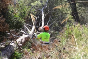 Prevenció incendis
