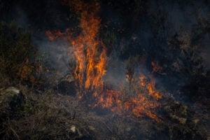 Flames a l'incendi de la Bisbal (Jordi Borràs, ACN)