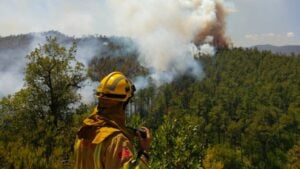 L'incendi de La Bisbal de l'Empordà (Bombers de la Generalitat)