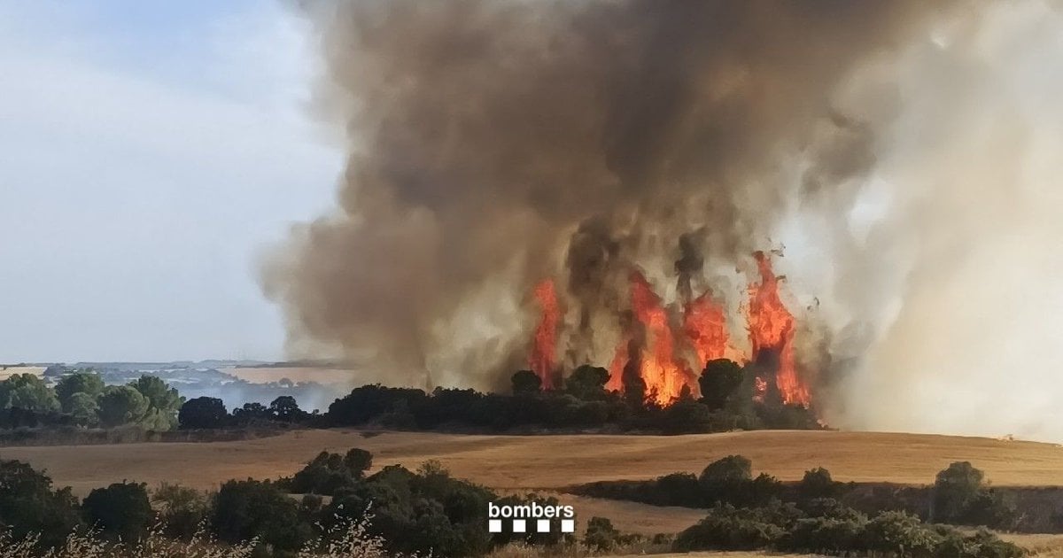 Imatge d'un incendi forestal a Guimerà amb flames i fum