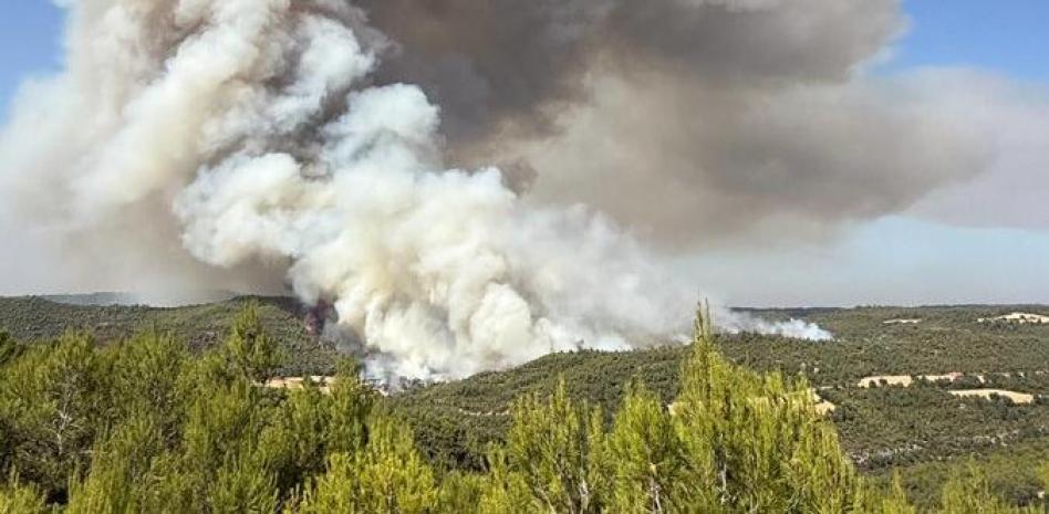 Imatge d'un incendi forestal a Rubió