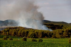 Imatge d'un incendi forestal a Sentmenat amb fum i vegetació