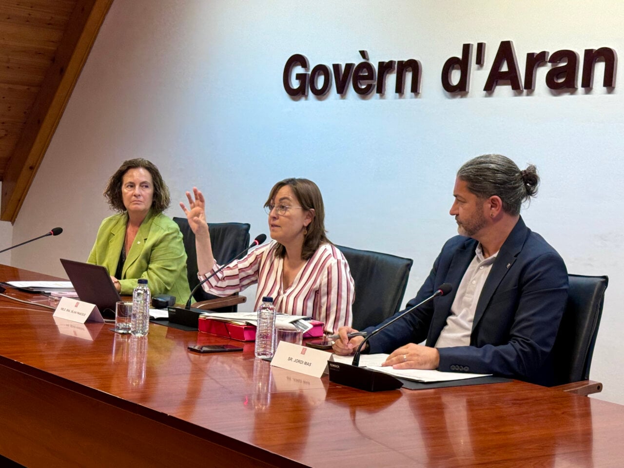 Reunió del Govern d'Aran amb Sílvia Paneque parlant sobre obres