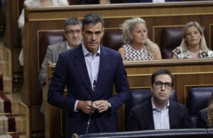 El president del Govern, Pedro Sánchez (Congrés dels Diputats)
