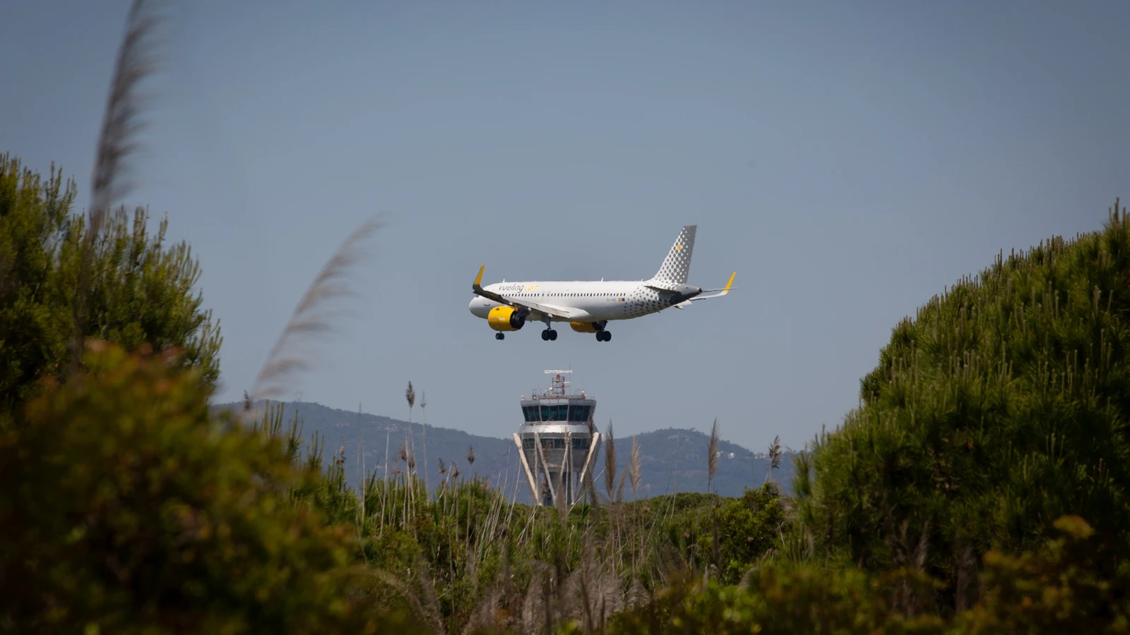 Un avió sobrevolant l'espai natural de La Ricarda al delta del Llobregat.